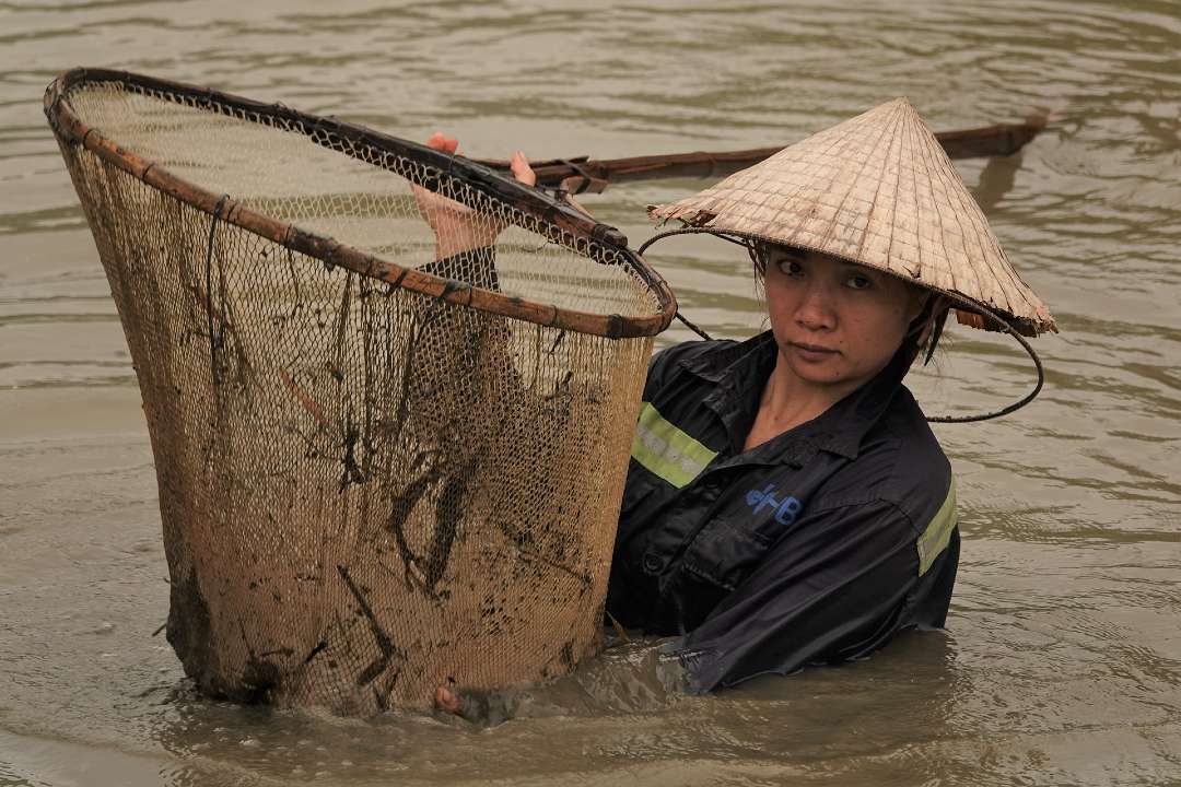 Vietnam Vietnam